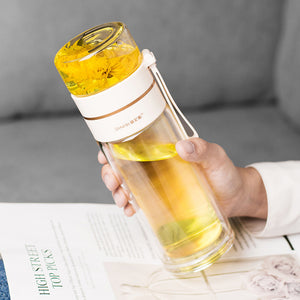 Glass Tea Infuser Bottle – Double Wall Leak-Proof Water Bottle 450ML